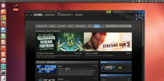 steam-for-linux-games-100054513-large