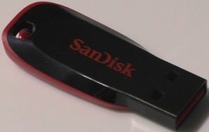 Sandisk Cruzer Blade USB 2.0 16GB USB Flash Drive