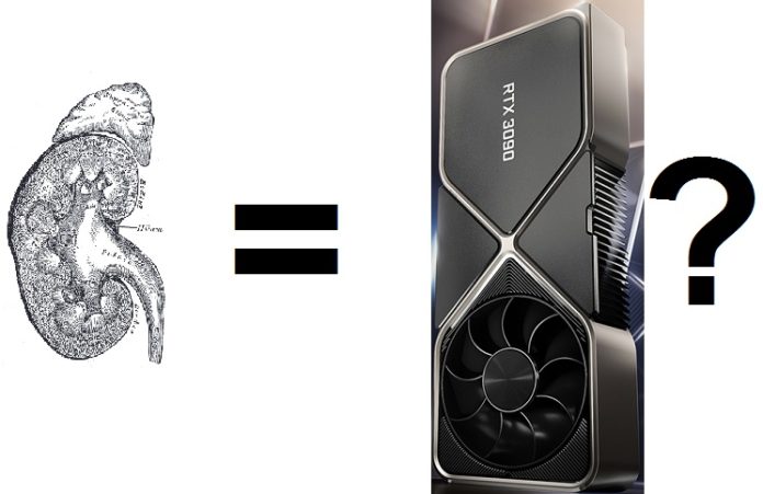 A picture of a kidney, an equals sign, an RTX 3090 and a question mark
